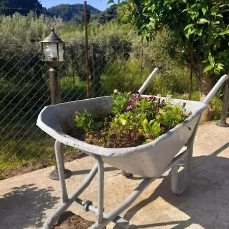 Olivetree Private Villa Città di Skopelos Esterno foto