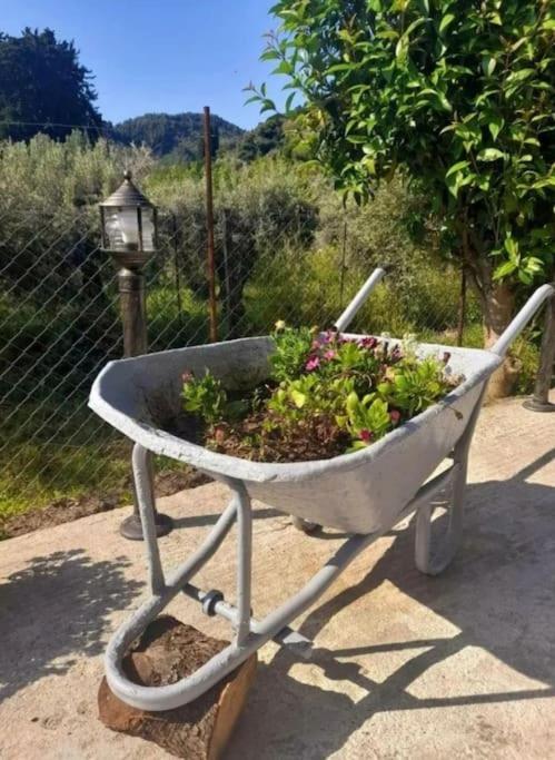 Olivetree Private *