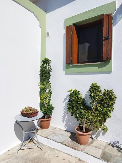 Villa Olivetree Private