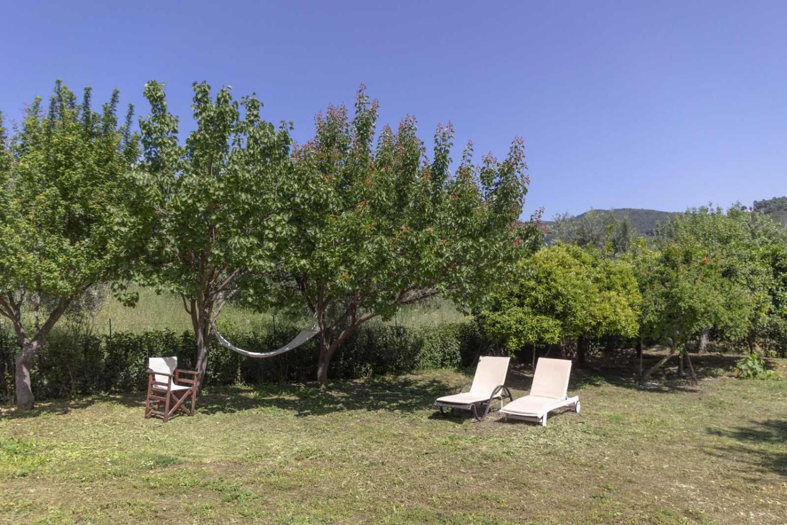 Olivetree Private *