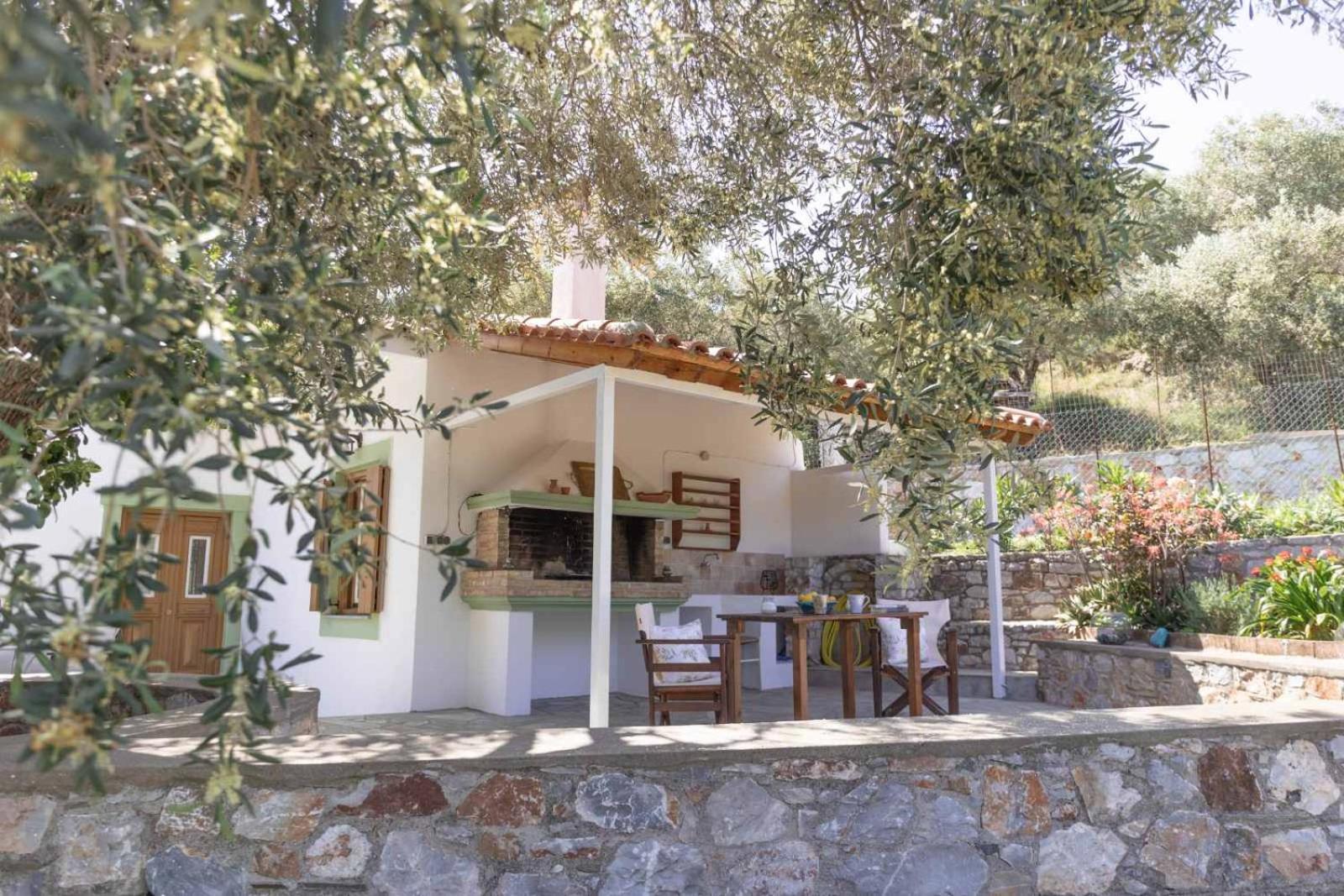 Olivetree Private Villa *